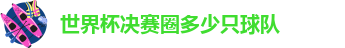 世界杯决赛圈多少只球队